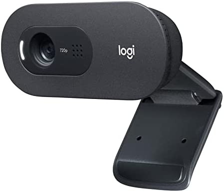 Logitech C505e Webcam Professionnelle HD - Webcam USB HD 720p pour Ordinateur de Bureau et Ordinateur Portable, avec Microphone Longue Portée, Compatible avec PC, Mac ou Chromebook - Gris